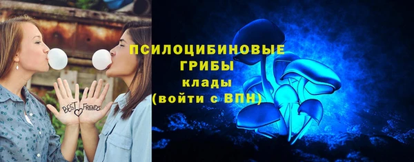 стафф Белокуриха